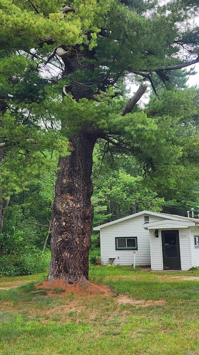 5131 M-72, Harrisville, MI 48740 - photo 20