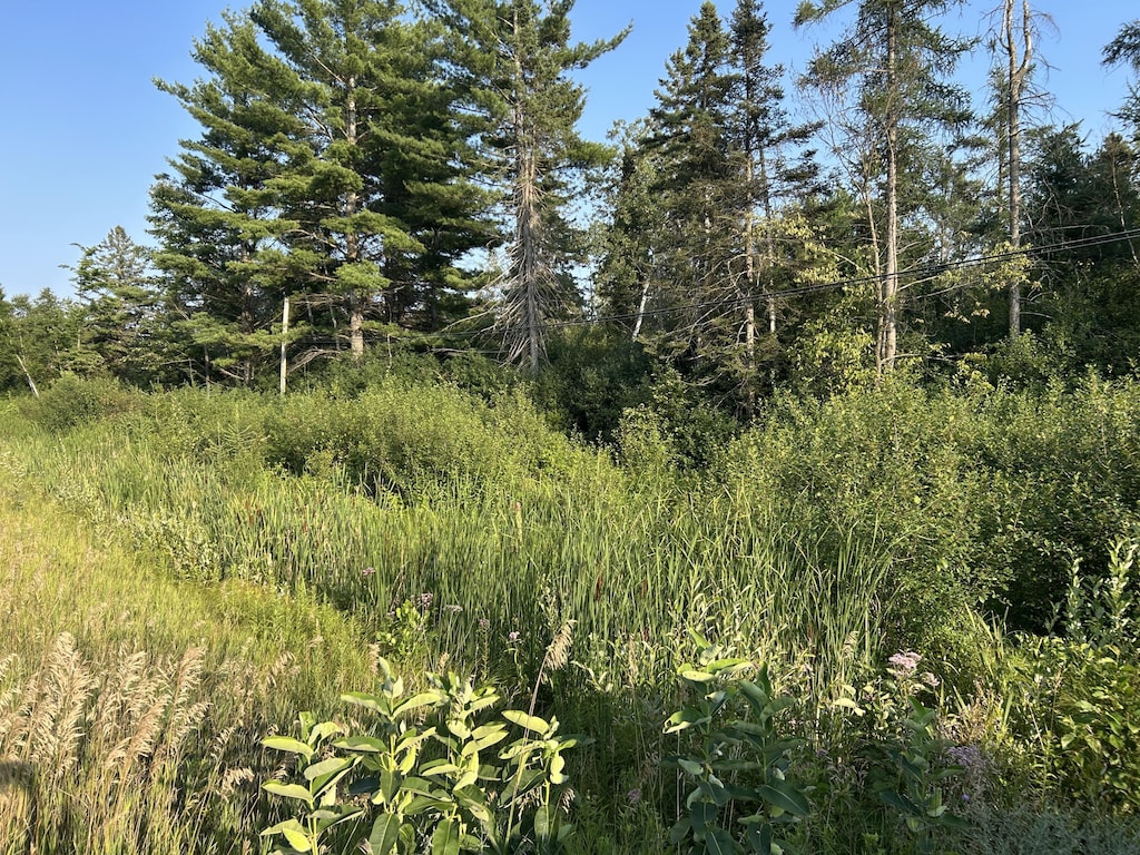 V/L W M-32, Alpena, MI 49707 - photo 1
