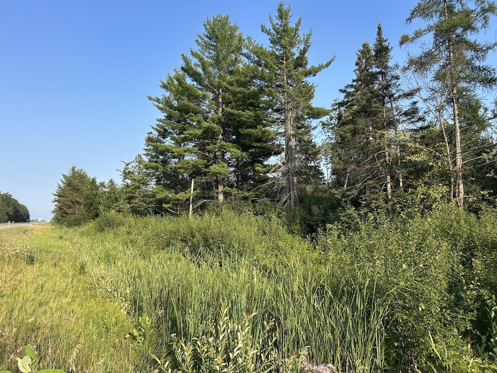 V/L W M-32, Alpena, MI 49707 - photo 2