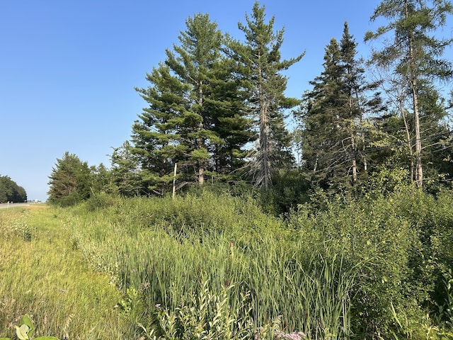 V/L W M-32, Alpena, MI 49707 - photo 2
