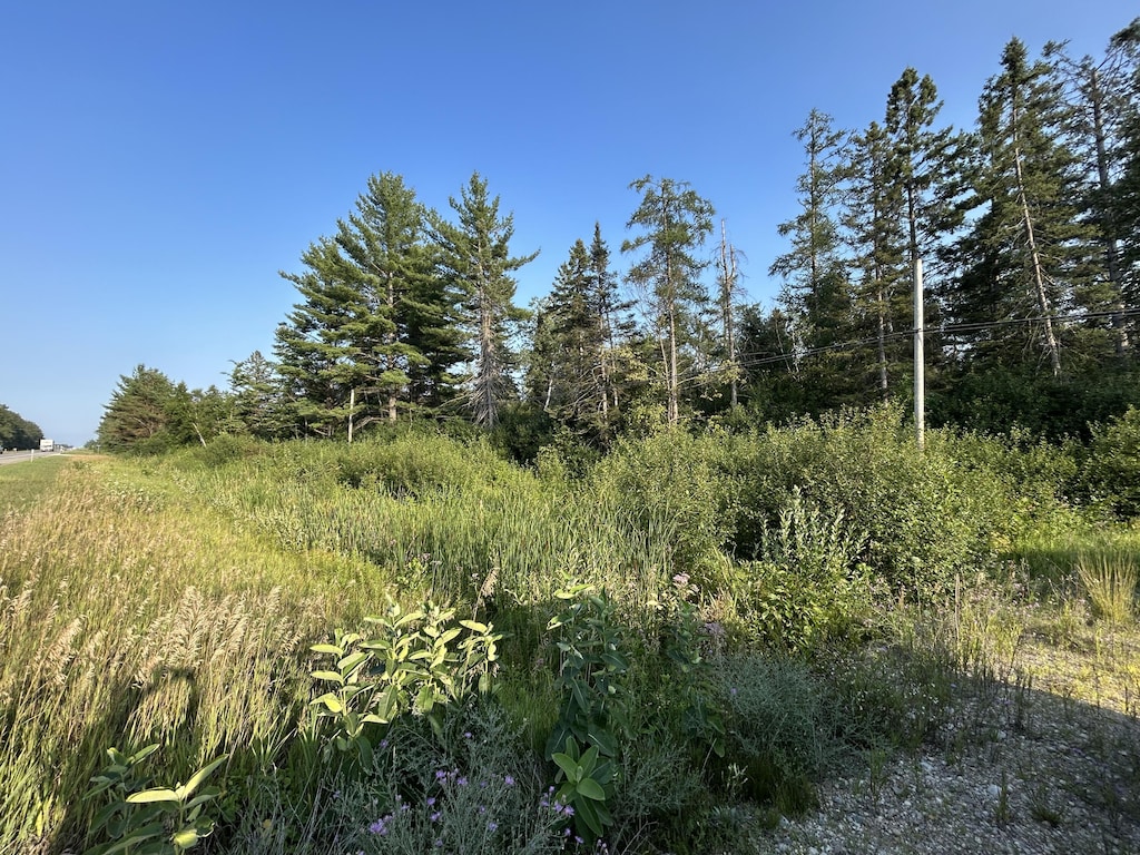 V/L W M-32, Alpena, MI 49707 - photo 3