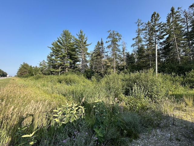 V/L W M-32, Alpena, MI 49707 - photo 3