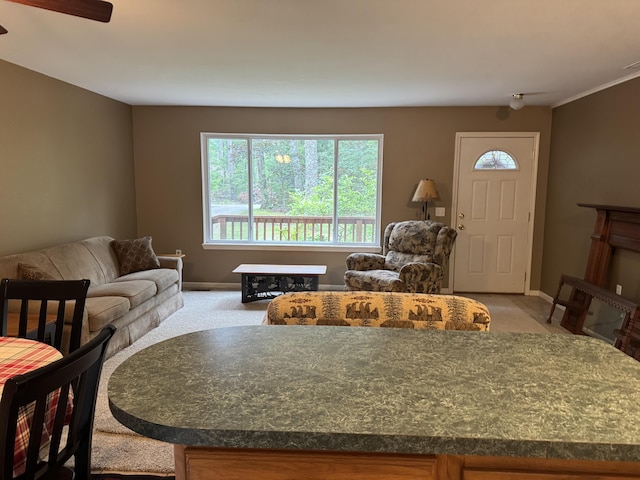 3566 Cobb Rd, Lewiston, MI 49756 - photo 21