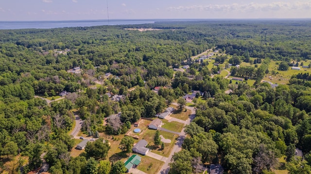 1673 Goldenrod Dr, Houghton Lake, MI 48629 - photo 27