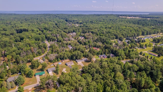 1673 Goldenrod Dr, Houghton Lake, MI 48629 - photo 28