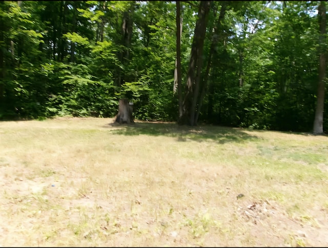 379 E Clarence Rd, Harrison, MI 48625 - photo 7