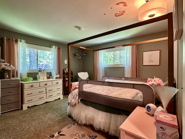 2179 Danish Landing Rd, Grayling, MI 49738 - photo 18