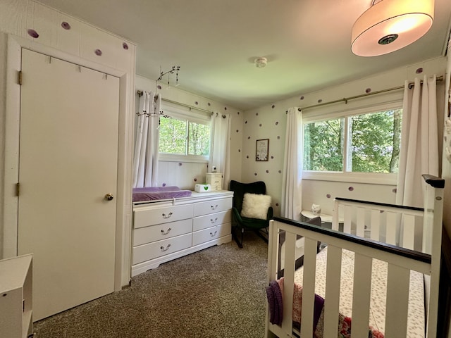 2179 Danish Landing Rd, Grayling, MI 49738 - photo 26