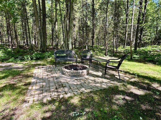 2179 Danish Landing Rd, Grayling, MI 49738 - photo 45