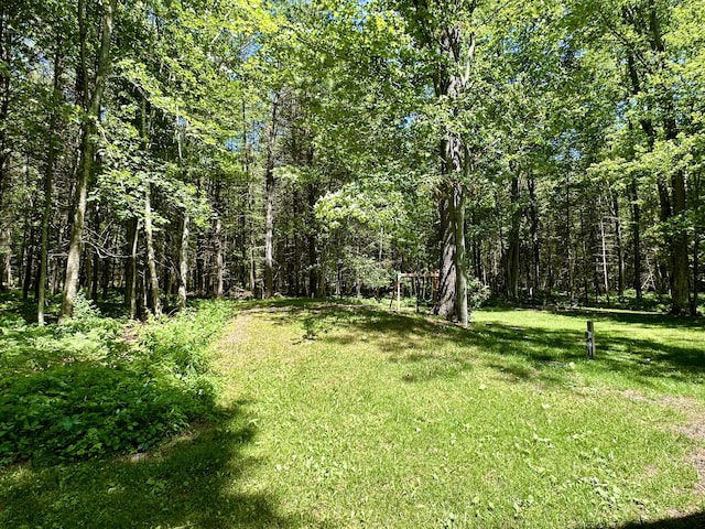 2179 Danish Landing Rd, Grayling, MI 49738 - photo 46