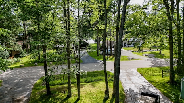 2179 Danish Landing Rd, Grayling, MI 49738 - photo 39