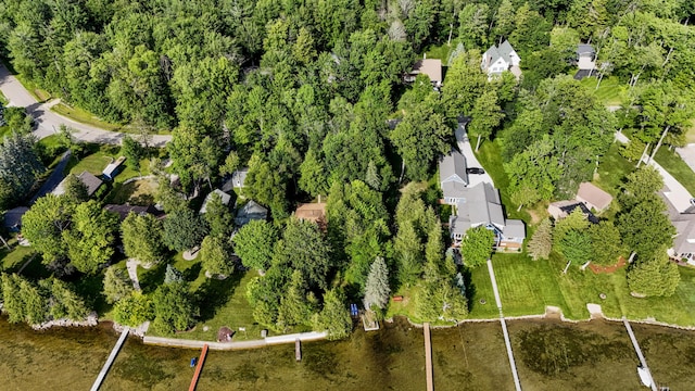 2179 Danish Landing Rd, Grayling, MI 49738 - photo 58