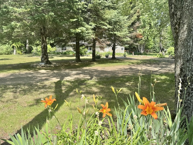 4655 S Simmons Rd, Alger, MI 48610 - photo 47