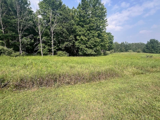 V/L S Dow Rd, West Branch, MI 48661 - photo 3