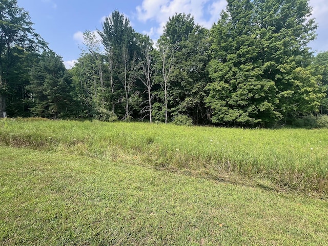 V/L S Dow Rd, West Branch, MI 48661 - photo 8