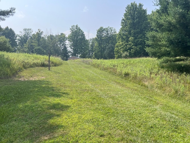 V/L S Dow Rd, West Branch, MI 48661 - photo 9