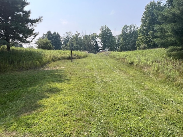 V/L S Dow Rd, West Branch, MI 48661 - photo 10