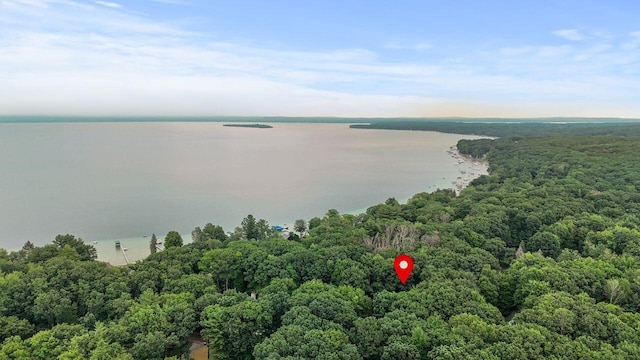 9210 High Rd, Roscommon, MI 48653 - photo 45