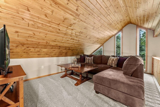 9210 High Rd, Roscommon, MI 48653 - photo 24