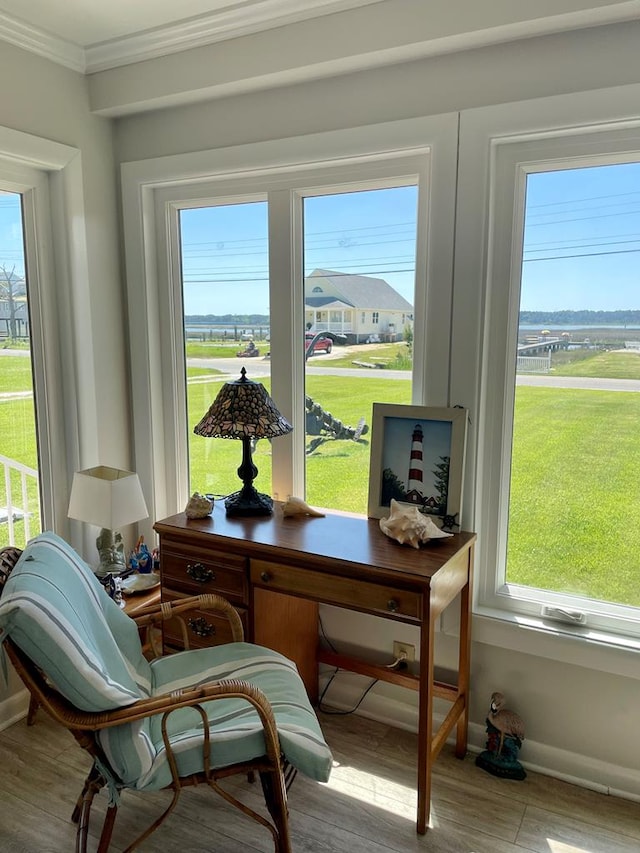 7669 E Side Rd, Chincoteague, VA 23336 - home office with ornamental molding, wood finished floors, plenty of natural light, and baseboards