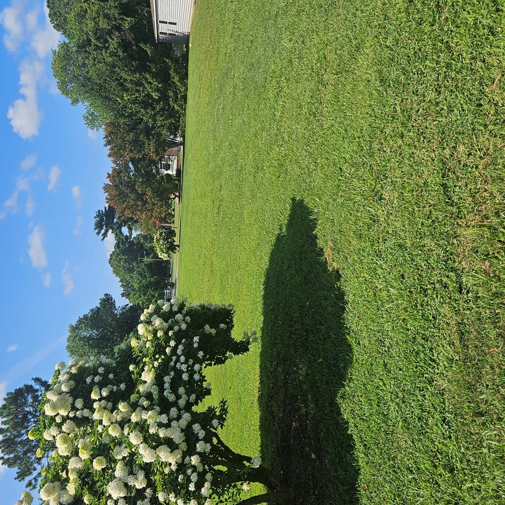 LOT18 Sturgis St Unit 18, Onancock, VA 23417 - photo 2