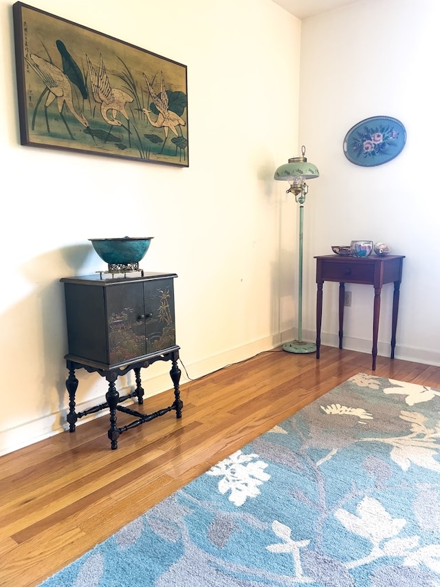 miscellaneous room featuring hardwood / wood-style flooring