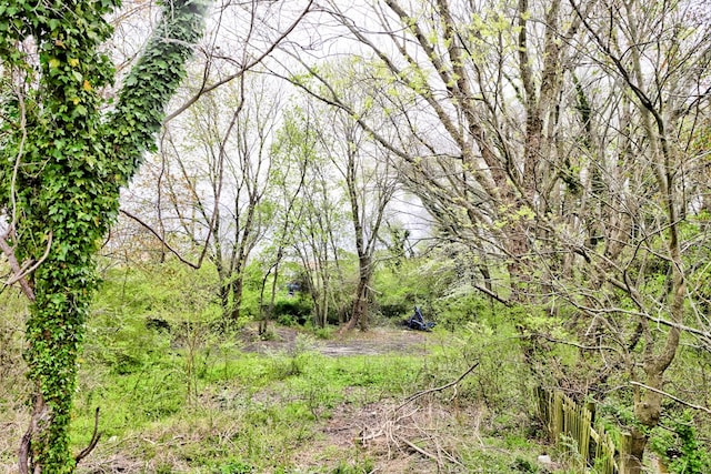 view of nature