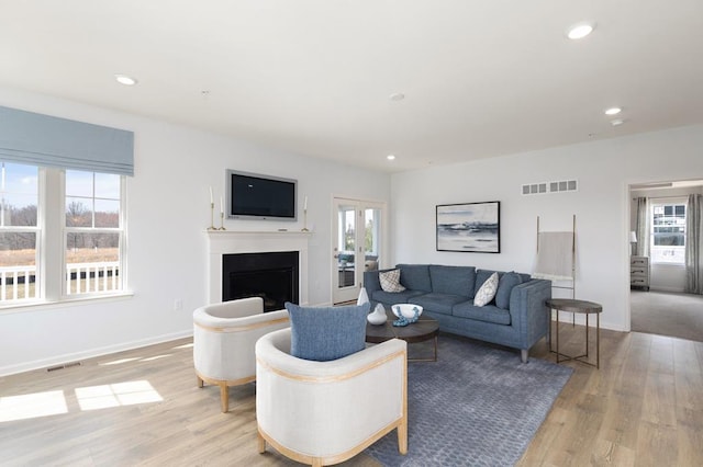 living room with light wood-type flooring and a healthy amount of sunlight