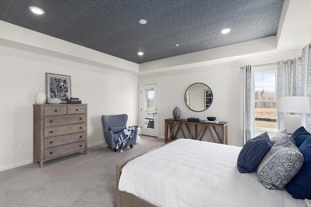 bedroom with carpet flooring and a raised ceiling