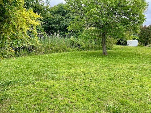 3250 Colona St, Chincoteague, VA 23336 - view of grassy yard