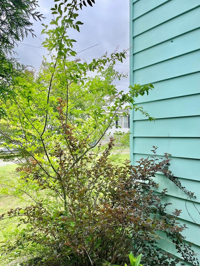 3250 Colona St, Chincoteague, VA 23336 - view of yard