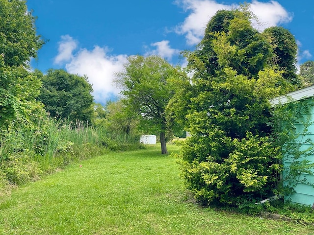 3250 Colona St, Chincoteague, VA 23336 - view of green lawn