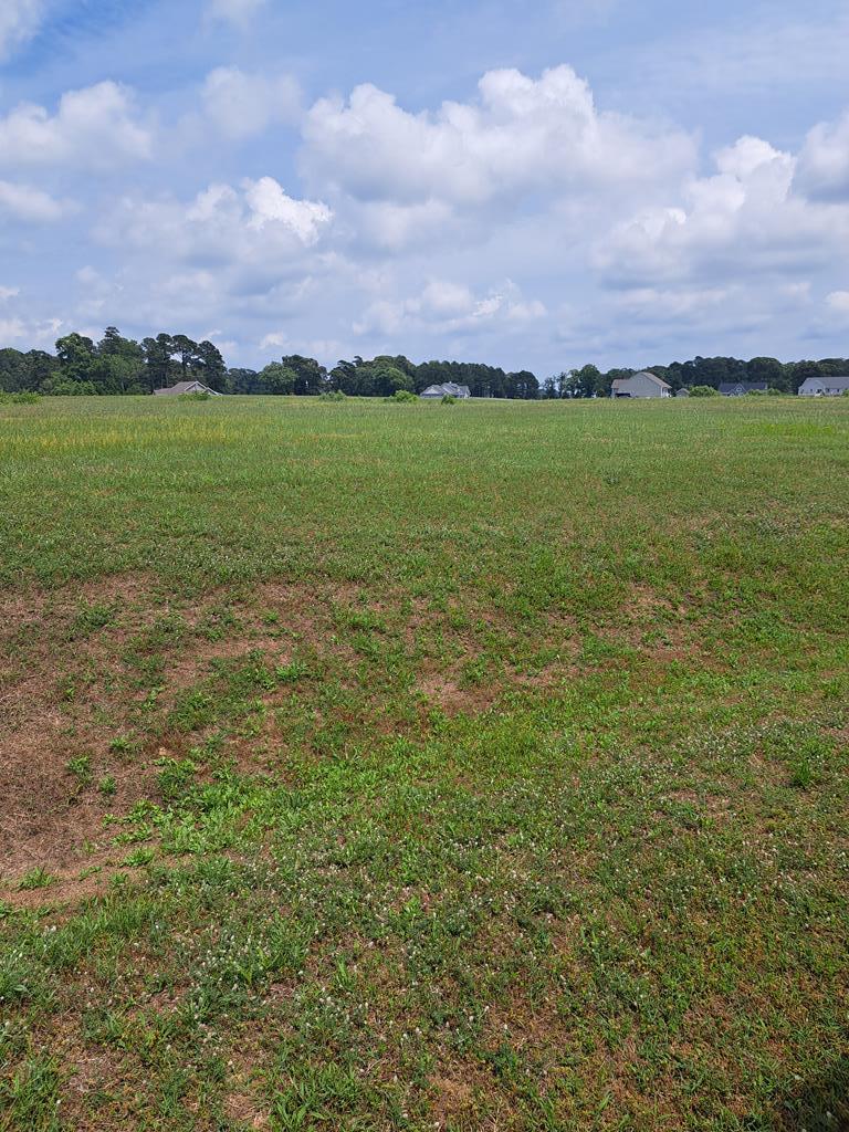 LOT45 Old Mill Ln Unit 45, New Church, VA 23415 - photo 1