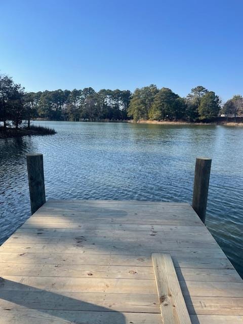 22080 Verlinda Lndg N, Cape Charles, VA 23310 - dock area with a water view