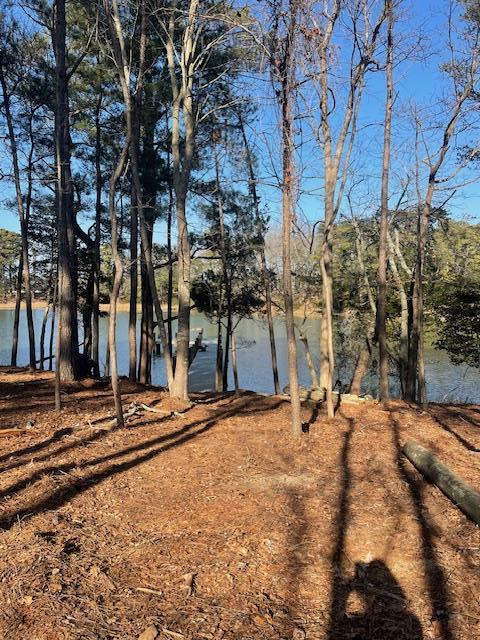22080 Verlinda Lndg N, Cape Charles, VA 23310 - water view