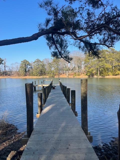 22080 Verlinda Lndg N, Cape Charles, VA 23310 - dock area with a water view
