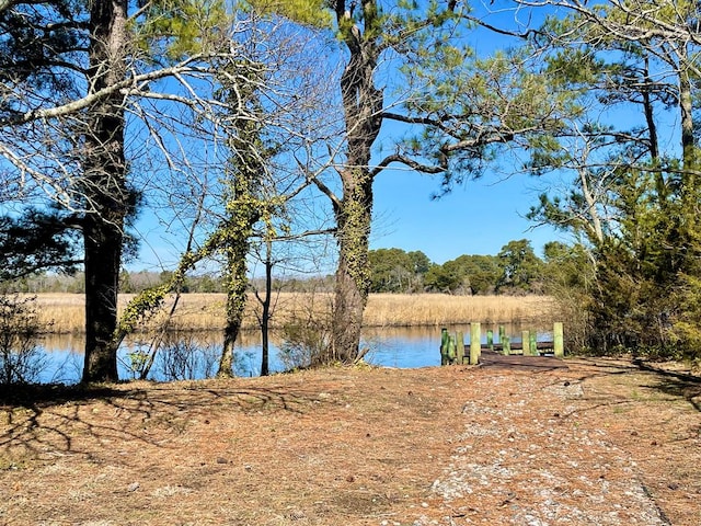 LOT1 Eagle Dr Unit 1, New Church, VA 23415 - photo 13
