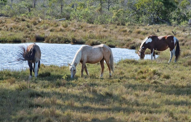 LOT2189 Spinnaker St, Greenbackville, VA 23356 - horse barn with a water view