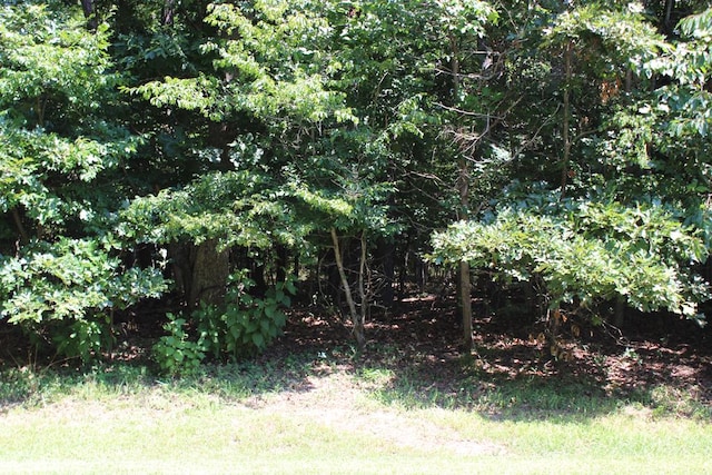 1851 Mutiny Dr Unit 1851, Greenbackville, VA 23356 - photo 1