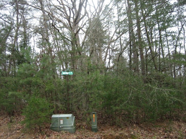1851 Mutiny Dr Unit 1851, Greenbackville, VA 23356 - photo 22
