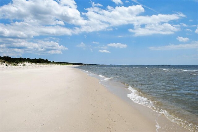 00 Burford Ct Unit 110, Cape Charles, VA 23310 - photo 5