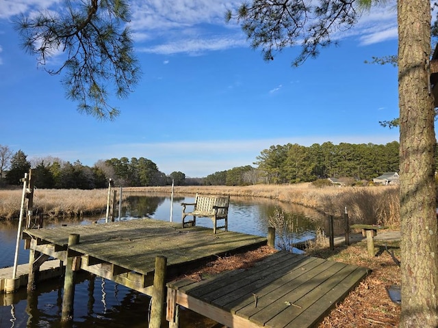 view of dock with a water view