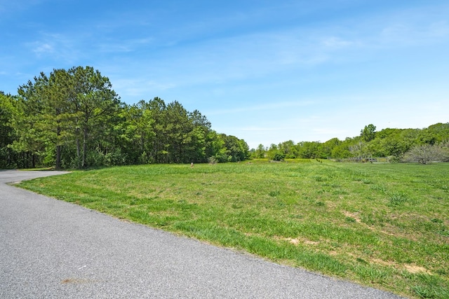 LOT17 Watts Bay Ln Unit 17, Wallops Island, VA 23337 - photo 4