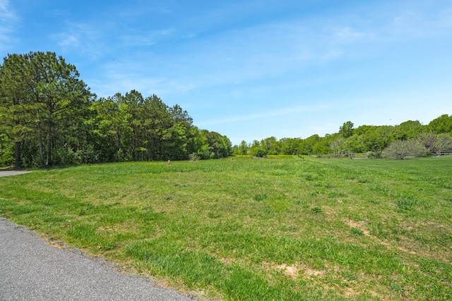 LOT17 Watts Bay Ln Unit 17, Wallops Island, VA 23337 - photo 3