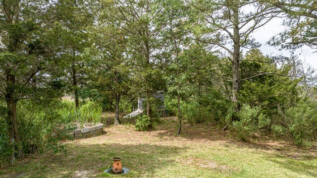 14397 Broadway Rd, Onancock, VA 23417 - photo 58