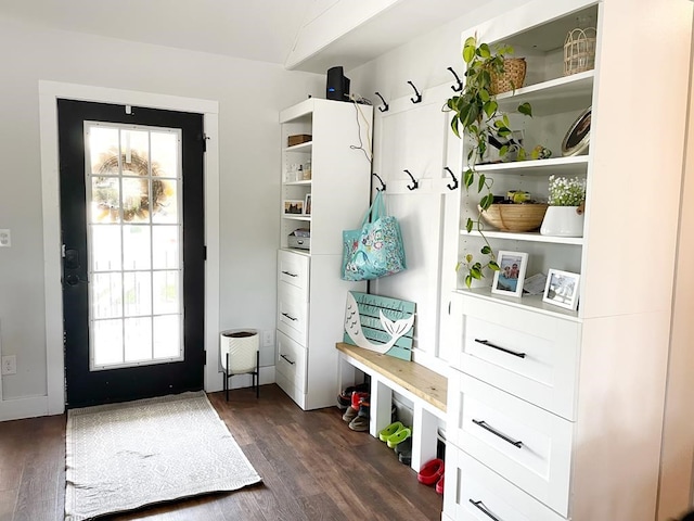 mudroom featuring dark wood-type flooring