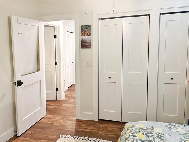 bedroom featuring wood-type flooring and two closets