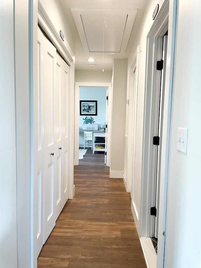 corridor with dark wood-type flooring