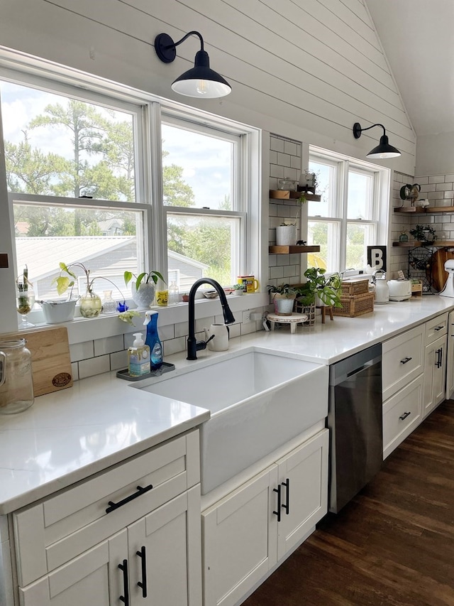 kitchen with vaulted ceiling, a sink, a wealth of natural light, and stainless steel dishwasher