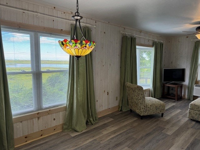 living area with ceiling fan and dark hardwood / wood-style flooring